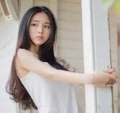 介绍内容